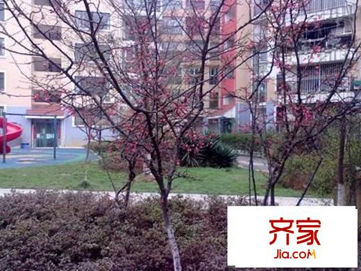 碧海觀山外景圖 
