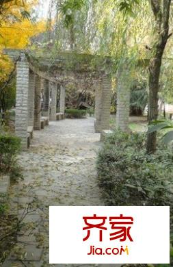 金竹苑外景圖 