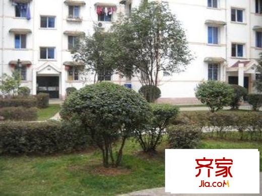 中天花園茶花園外景圖 