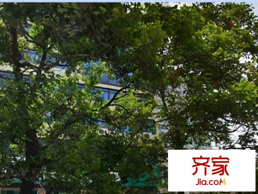 小河區(qū)政府宿舍外景圖 