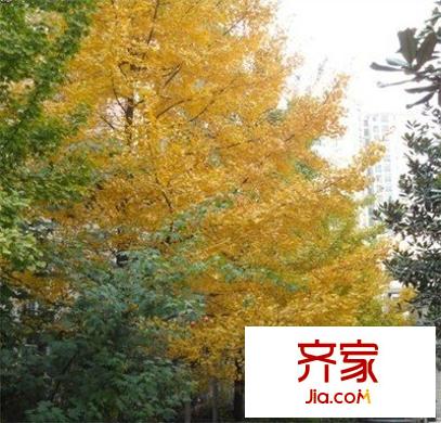 金竹苑外景圖 