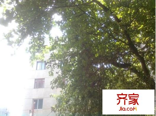 吉祥小區(qū)外景圖 
