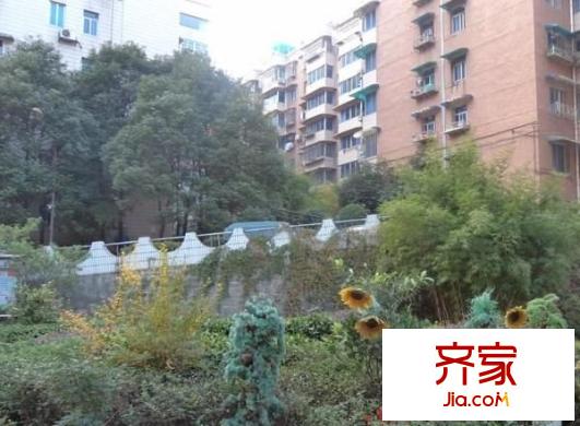 新都花園外景圖 