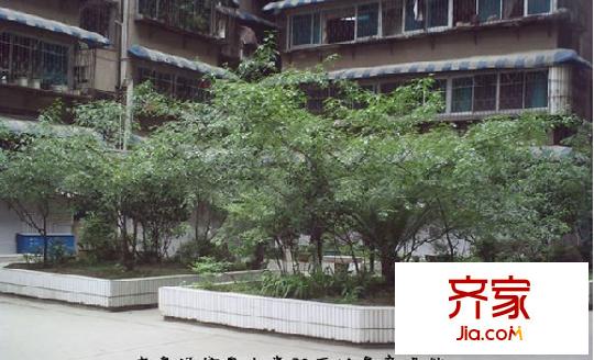 文昌北路小區(qū)外景圖 