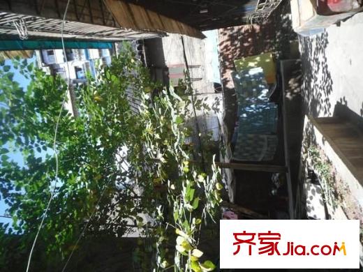 文昌北路小區(qū)配套圖 周邊配套