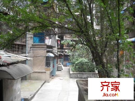 文昌北路小區(qū)外景圖 