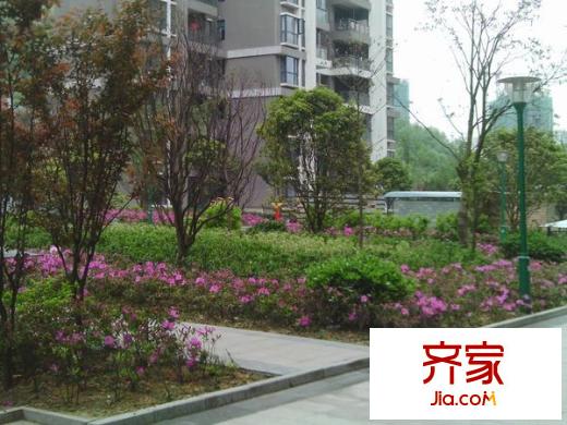世紀城龍興苑外景圖1