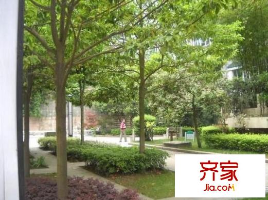 中天花園茶花園