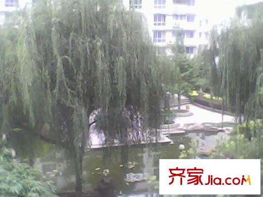 中天花園茶花園配套圖 周邊配套