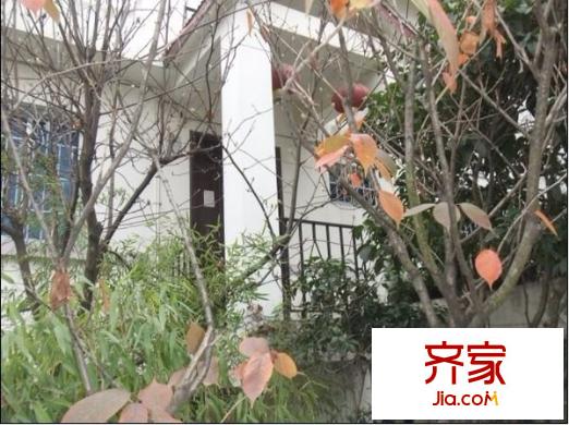 中天花園桂花園外景圖 