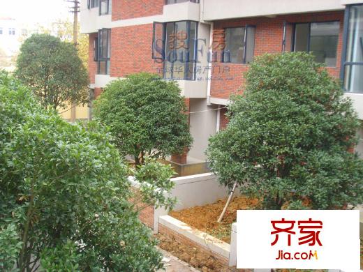 東山美廬外景圖植被