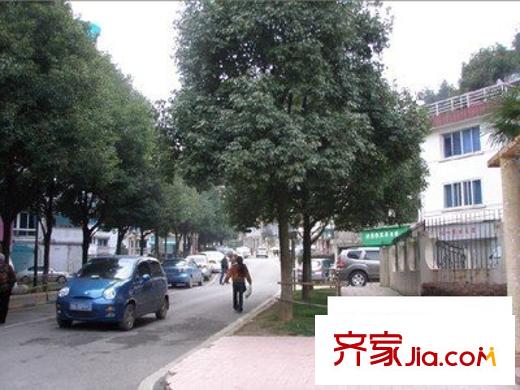 中天花園桂花園配套圖 周邊配套