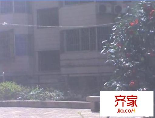新都花園外景圖 