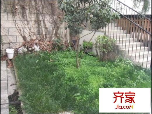 中天花園桂花園外景圖 