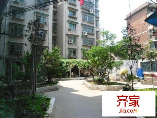 文昌北路小區(qū)外景圖 