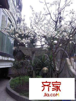 君竹苑外景圖da1