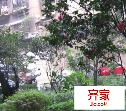 交通巷外景圖1