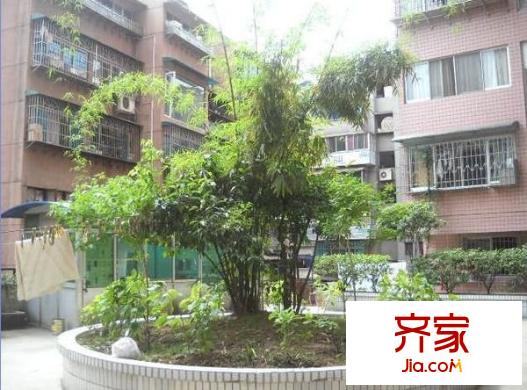 友誼路變維小區(qū)外景圖 