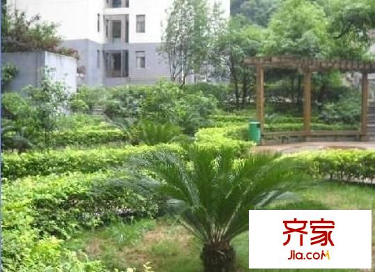 智慧龍城二期外景圖 