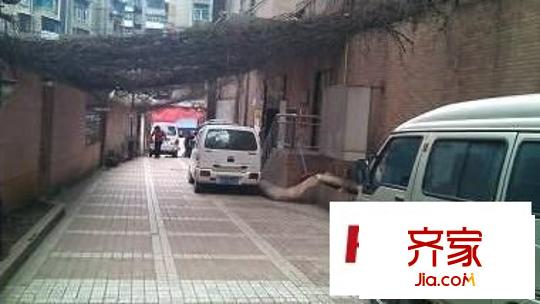 千禧苑外景圖 