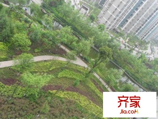 世紀(jì)城龍嘉苑外景圖 