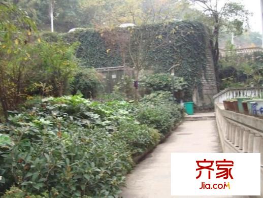 友誼路變維