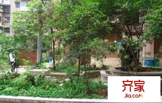 尚武小區(qū)外景圖 