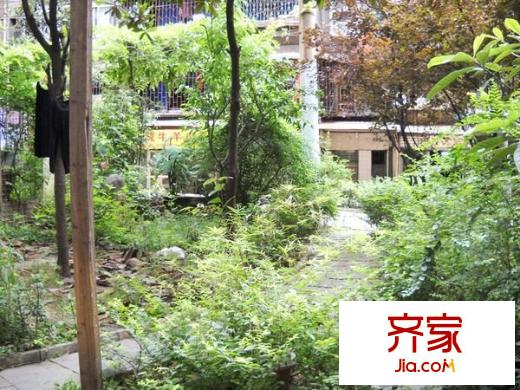 尚武小區(qū)外景圖 