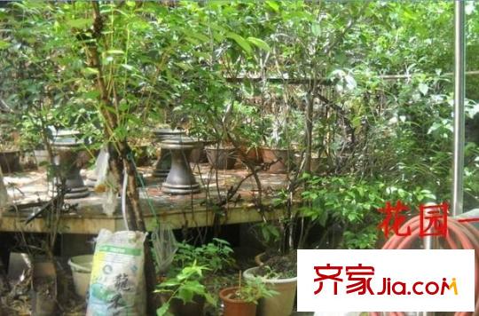 中天花園紫薇園配套圖 周邊配套