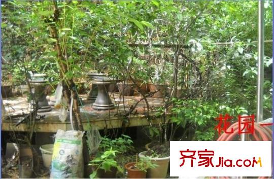 中天花園紫薇園配套圖 周邊配套