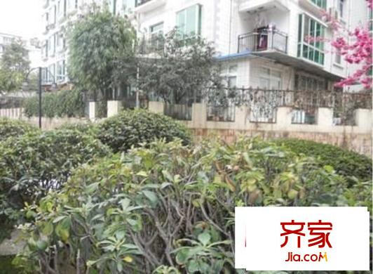 中天花園紫薇園外景圖 