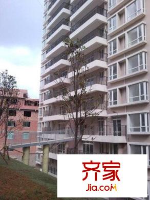 美樹陽(yáng)光外景圖 