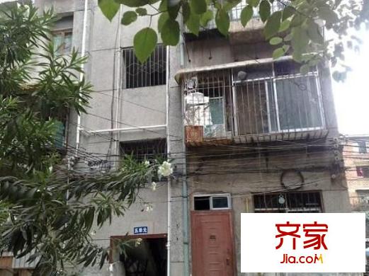 省府大院43號外景圖 