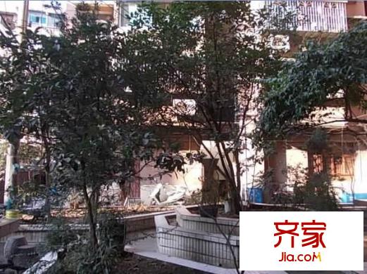 尚武小區(qū)外景圖 