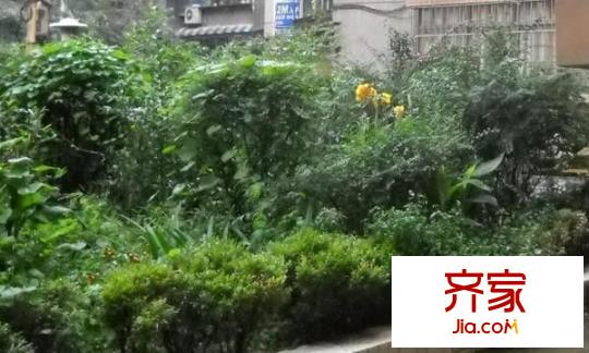 文昌路電信小區(qū)外景圖 