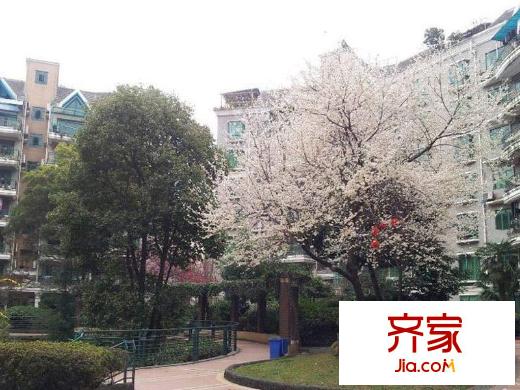 興隆城市花園沐風(fēng)園小區(qū)綠化全景(2013-2-16)