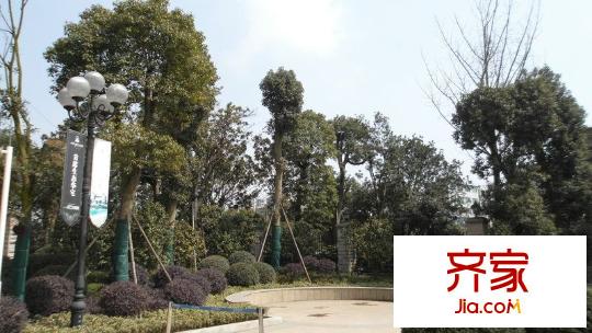 恒大綠洲