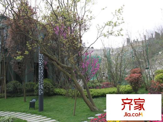 中渝第一城售樓部園林實景 （2013-8-23）