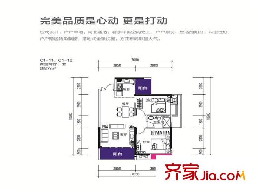 中天銘廷C1_11C1_12戶型圖 2室2廳1衛(wèi)1廚