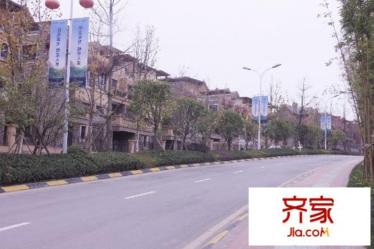 保利公園現(xiàn)場(chǎng)實(shí)景