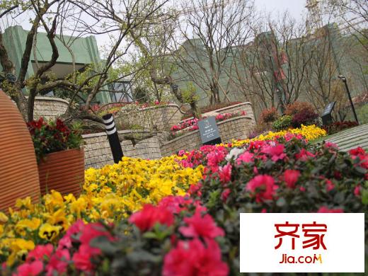 中渝第一城售樓部樣板間園林實景（2013-8-23）