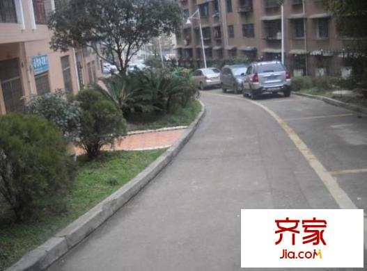 新興苑外景圖 