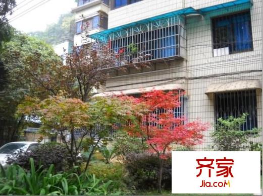 園林局小區(qū)外景圖 