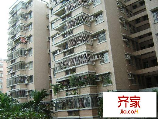 園林局小區(qū)外景圖4