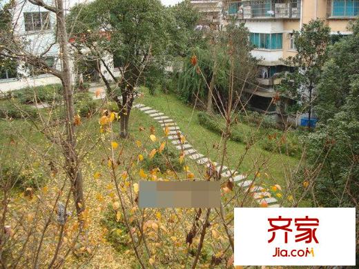 沙河社區(qū)