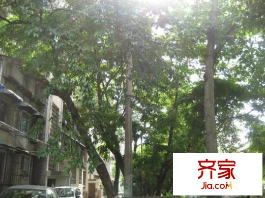 亞泰花園外景圖9