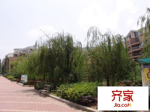 山語馨苑外景圖  4