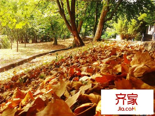 黔靈大廈外景圖6