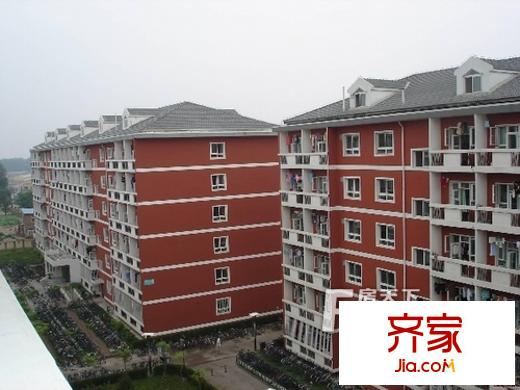 十號樓外景圖1