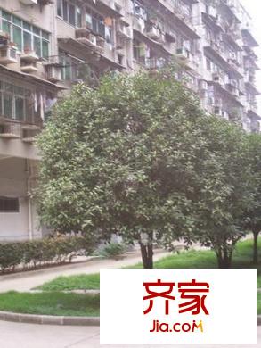 民政小區(qū)外景圖4